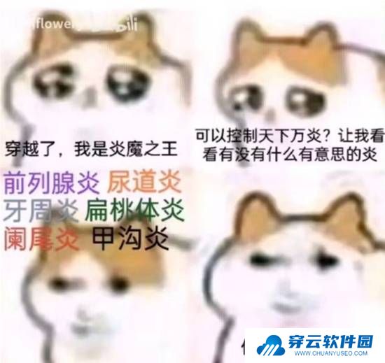本站