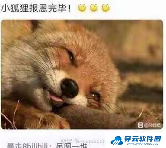 本站