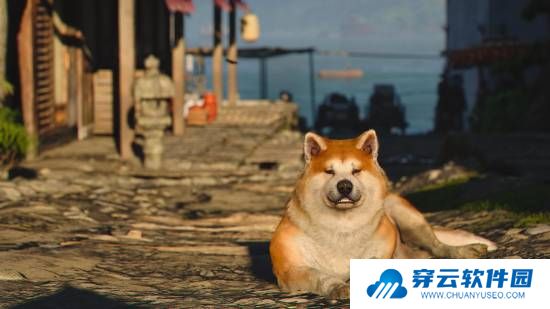 本站